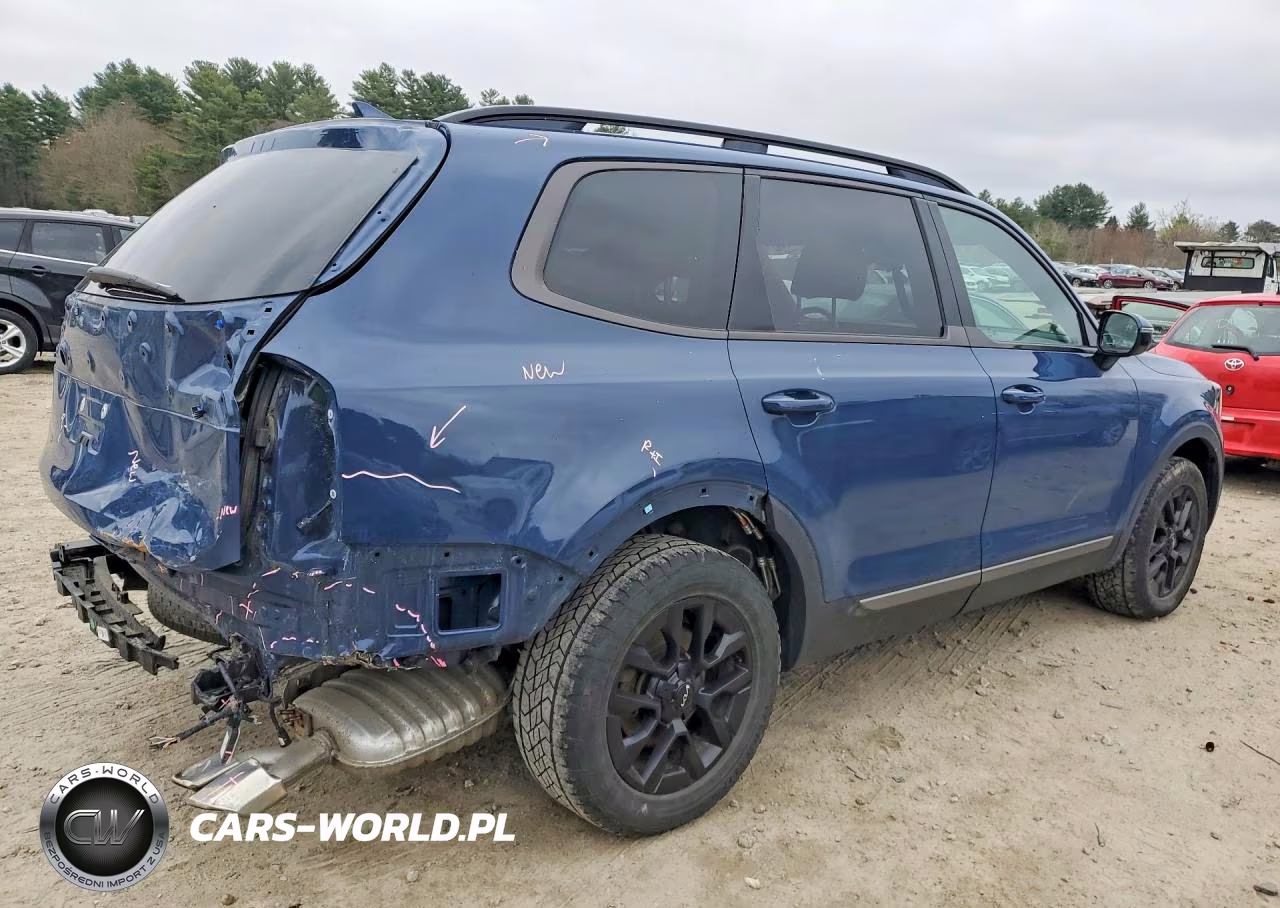 2023 Kia Telluride Sx-Prestige X-Pro VIN:5XYP5DGC5PG359999 - 3