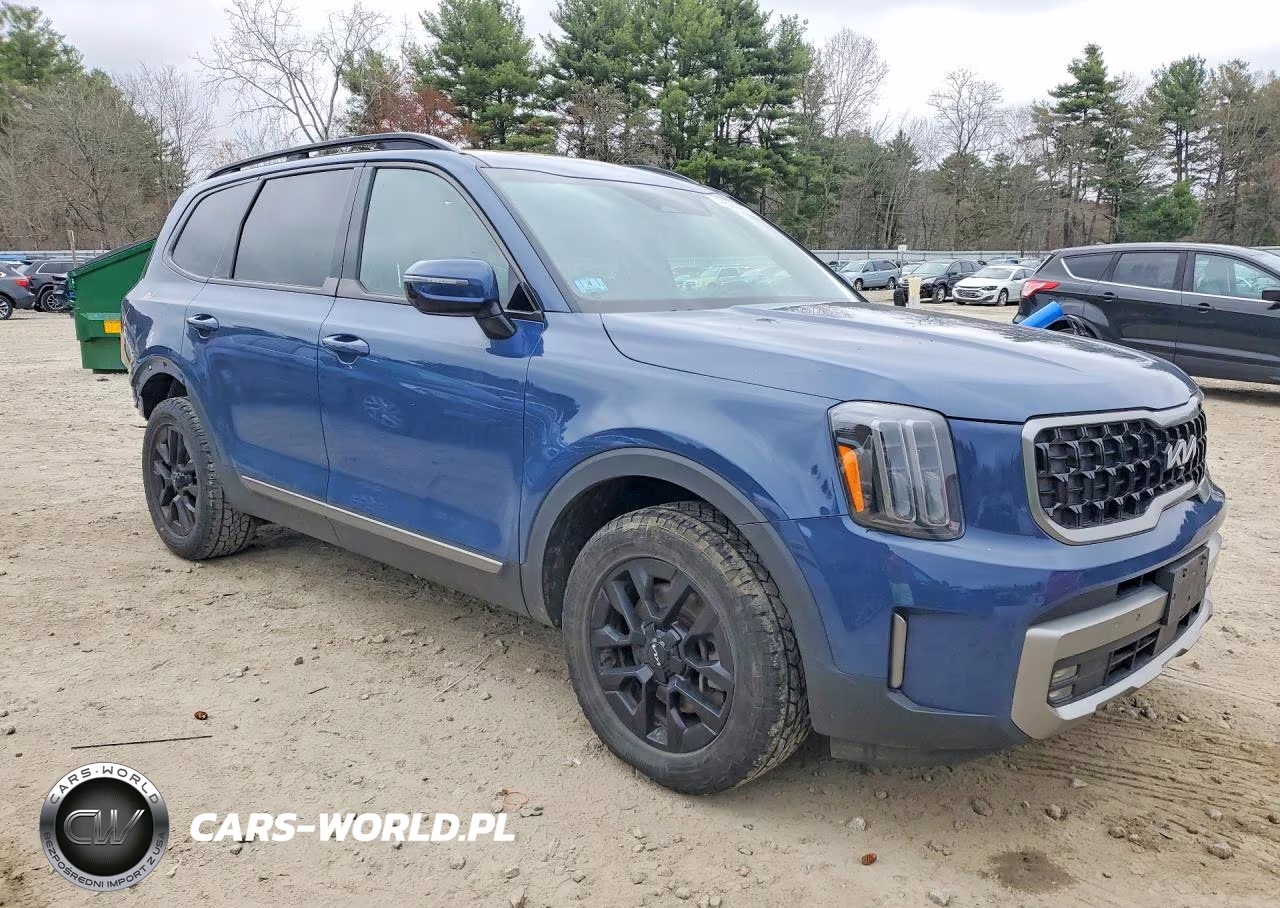 2023 Kia Telluride Sx-Prestige X-Pro VIN:5XYP5DGC5PG359999 - 4