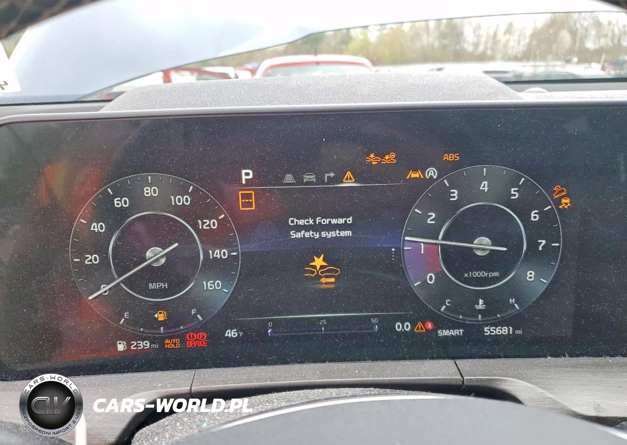 2023 Kia Telluride Sx-Prestige X-Pro VIN:5XYP5DGC5PG359999 - 9