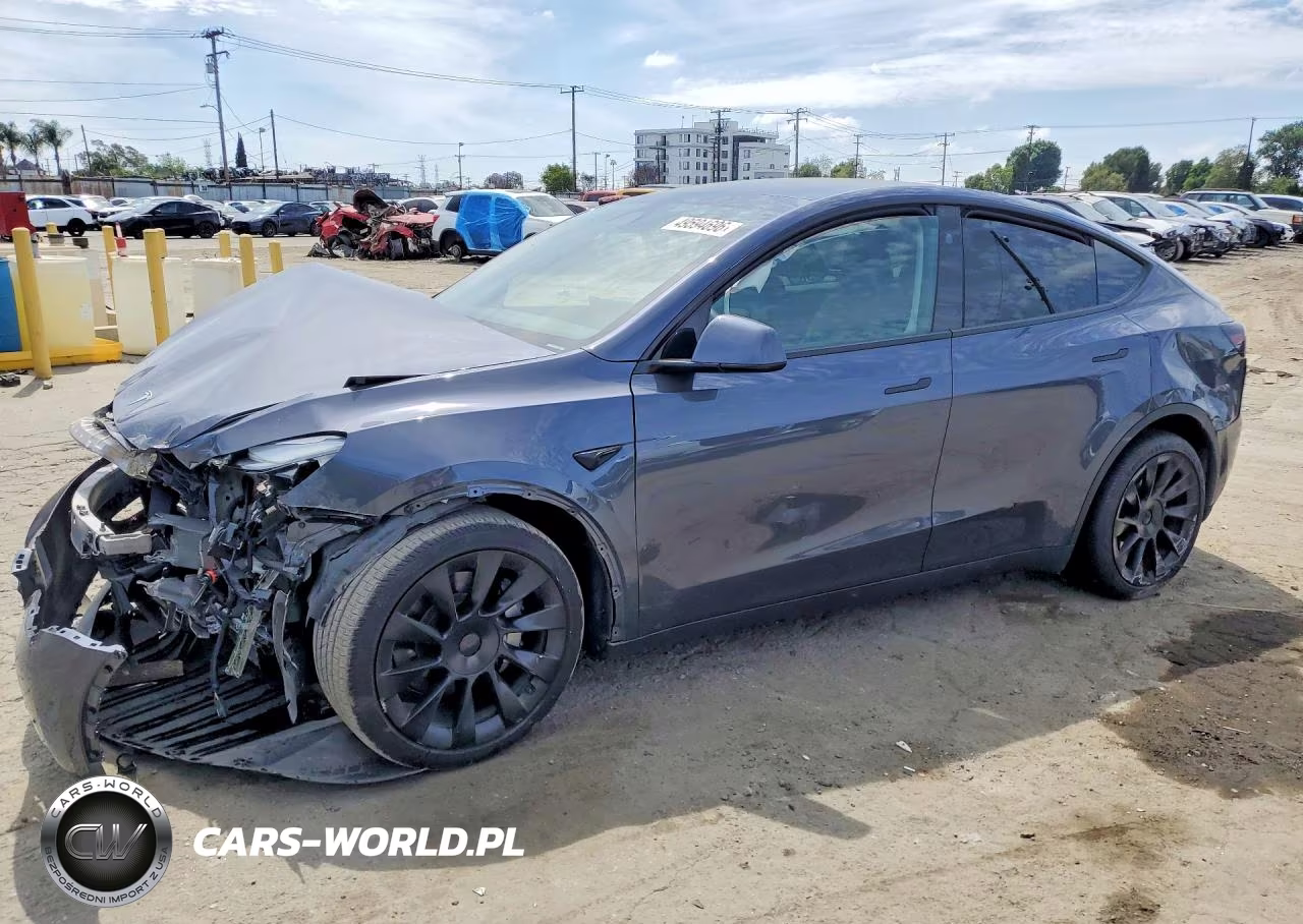 2024 Tesla Model Y