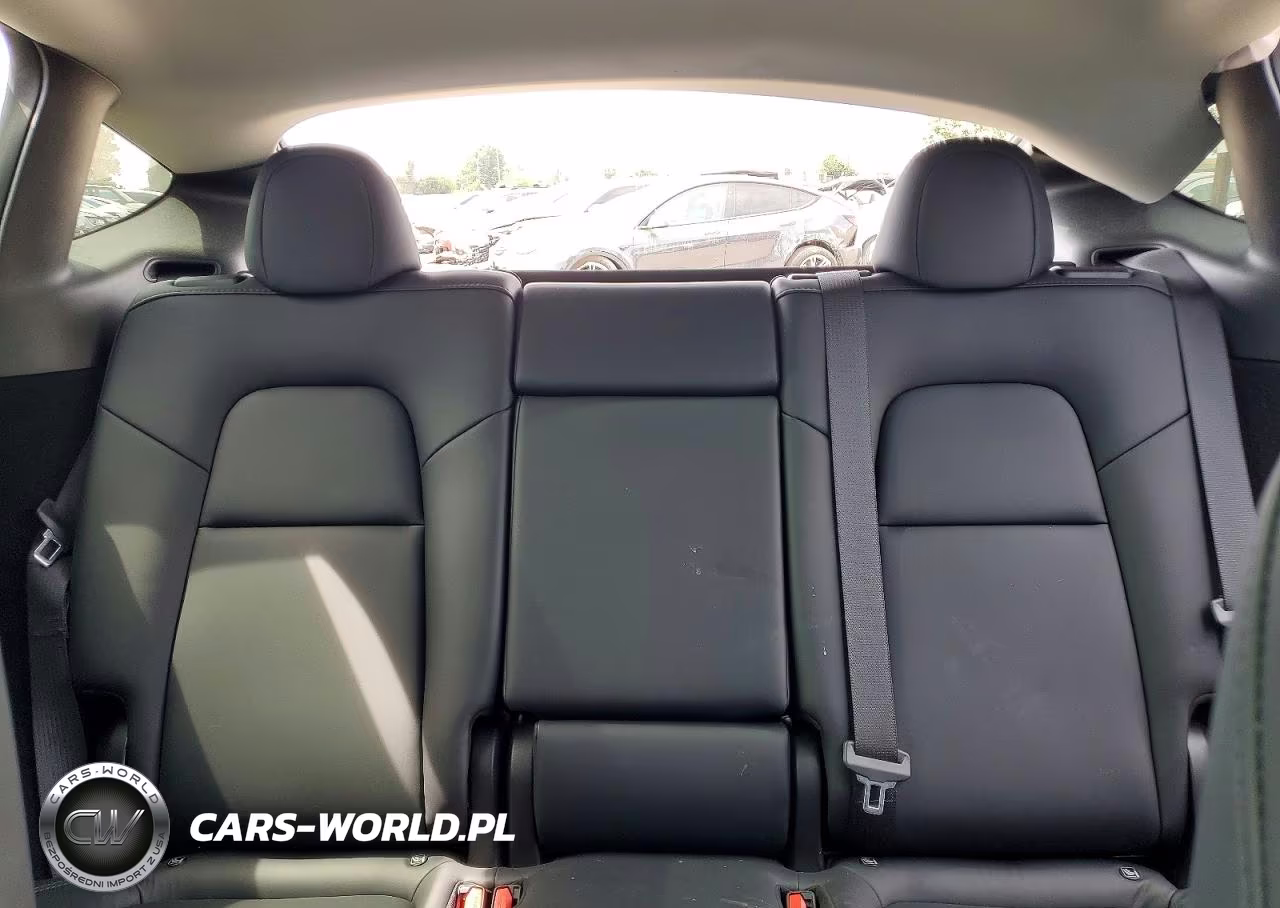 2024 Tesla Model Y VIN:7SAYGDEE0RA217220 - 10