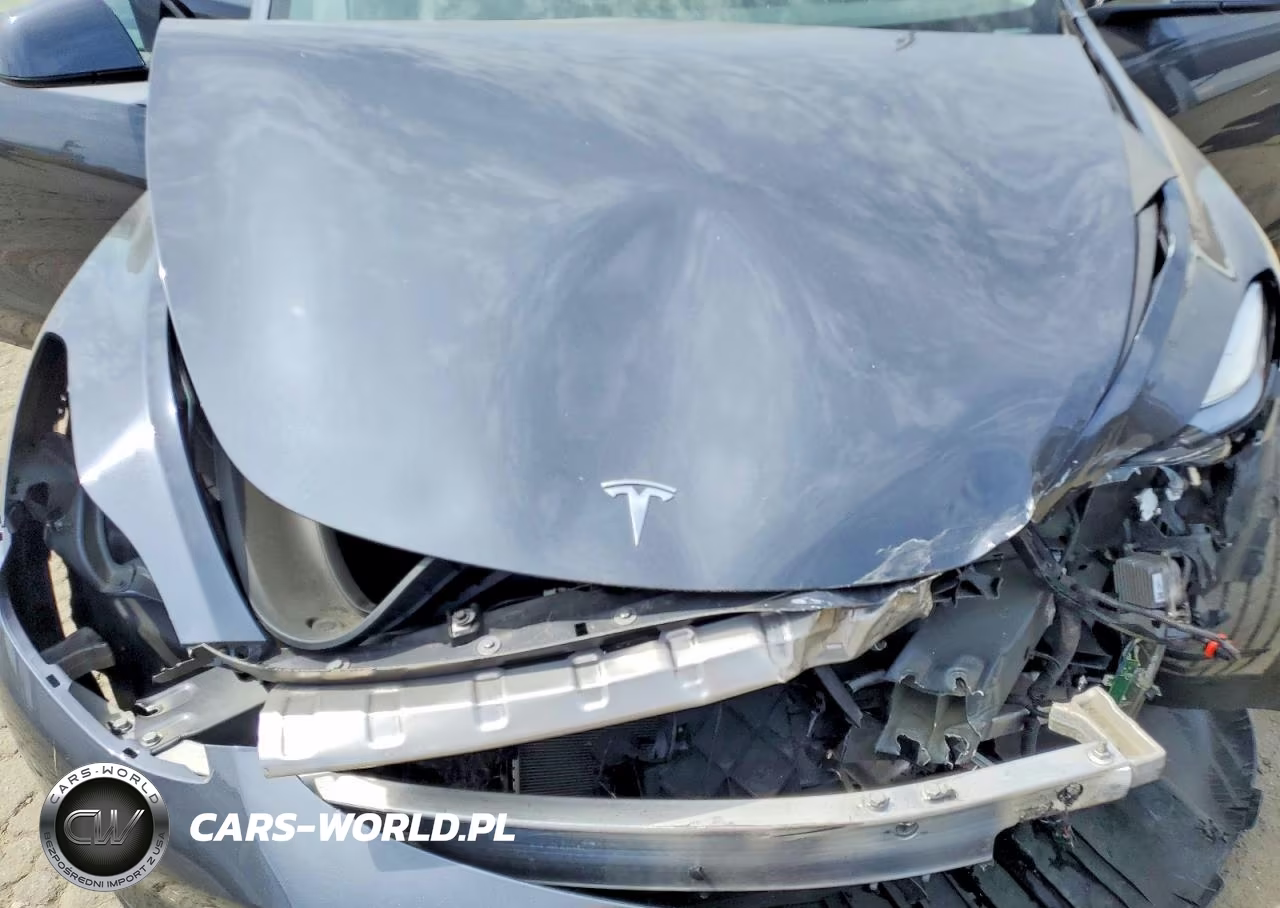 2024 Tesla Model Y VIN:7SAYGDEE0RA217220 - 12