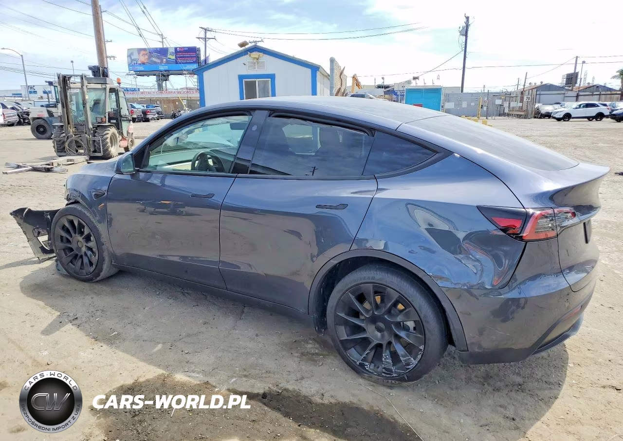 2024 Tesla Model Y VIN:7SAYGDEE0RA217220 - 2