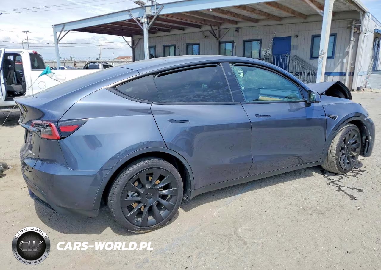 2024 Tesla Model Y VIN:7SAYGDEE0RA217220 - 3