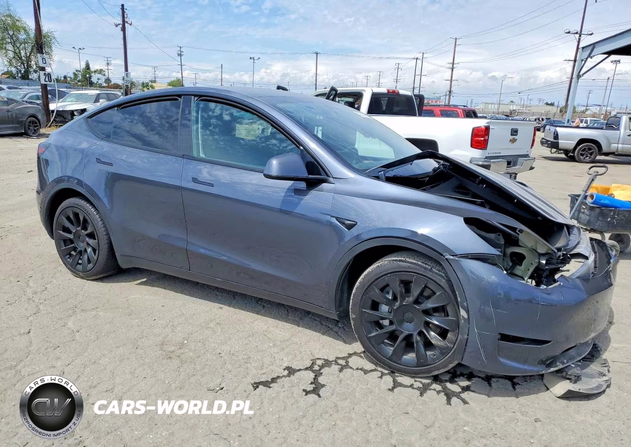 2024 Tesla Model Y VIN:7SAYGDEE0RA217220 - 4