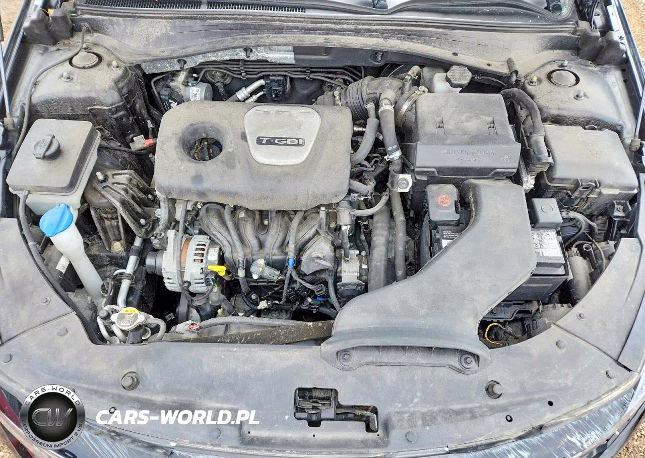 2019 Kia Optima Ex VIN:5XXGU4L13KG292582 - 11