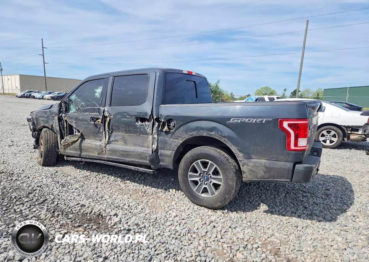 2016 Ford F-150 Sprcr Spr Crew VIN:1FTEW1CGXGKD92292 - 2