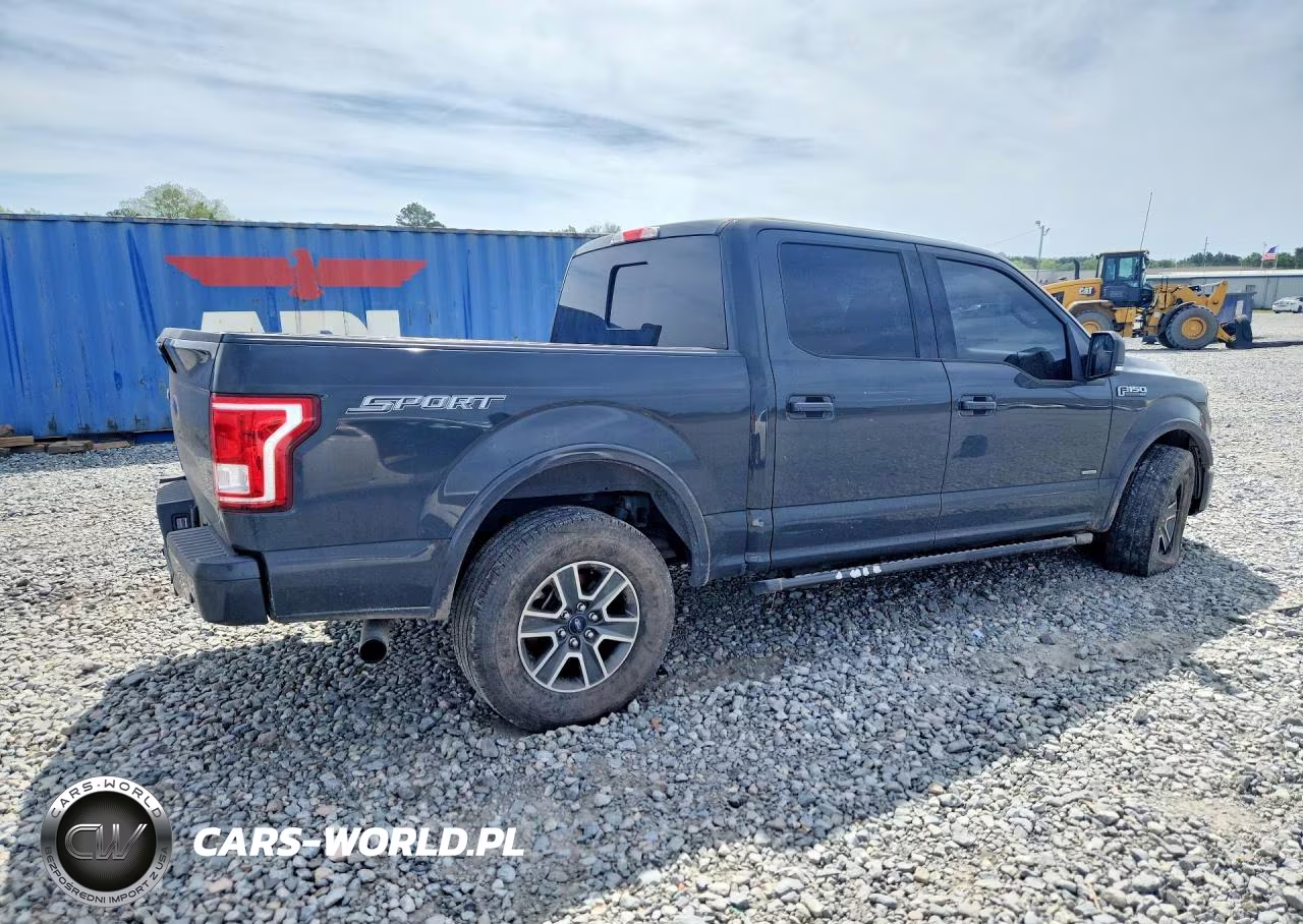 2016 Ford F-150 Sprcr Spr Crew VIN:1FTEW1CGXGKD92292 - 3