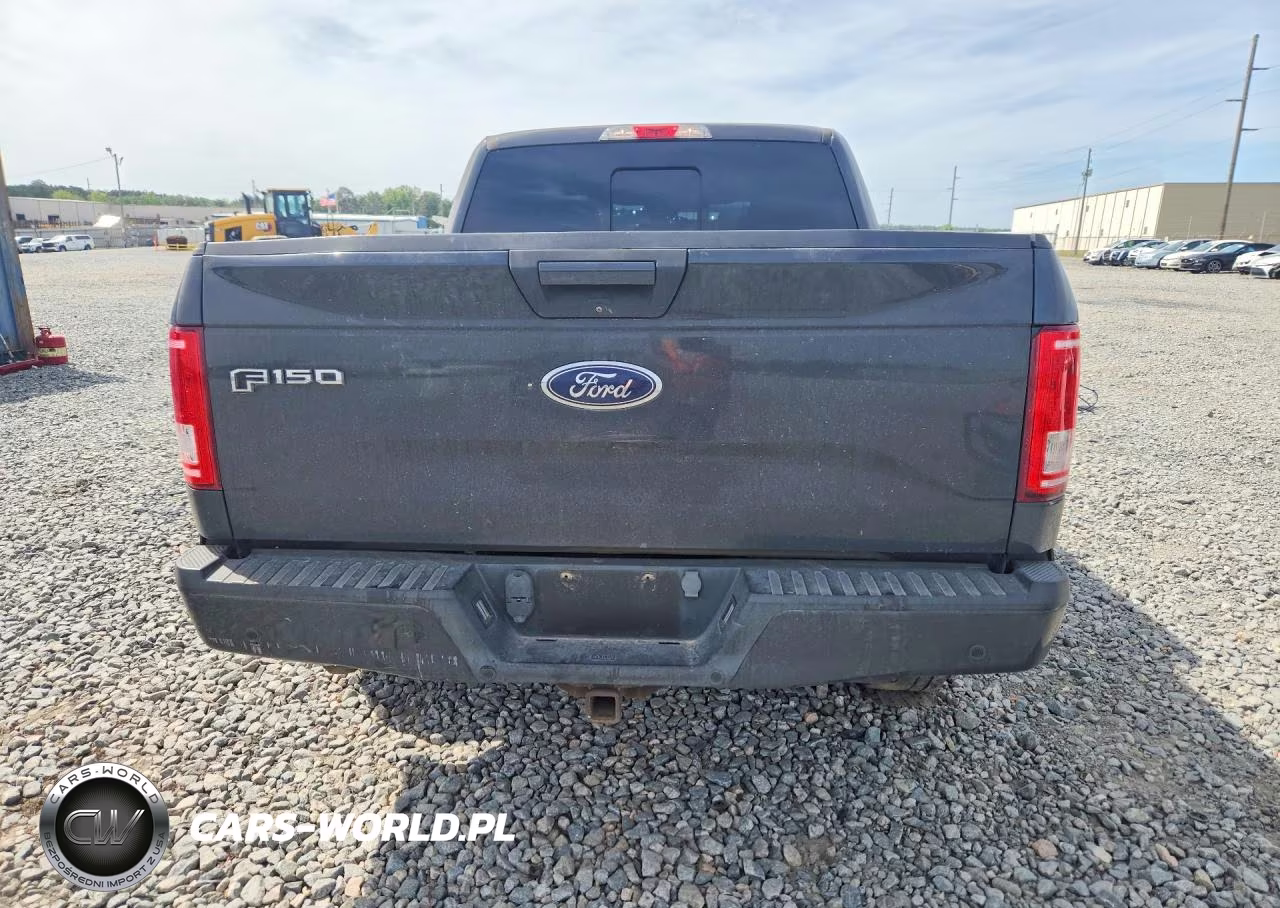 2016 Ford F-150 Sprcr Spr Crew VIN:1FTEW1CGXGKD92292 - 6