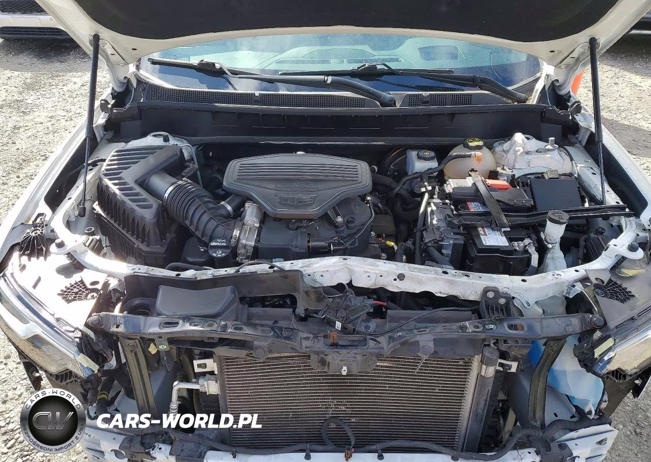 2020 Cadillac Xt6 Premium Luxury VIN:1GYKPCRS6LZ135889 - 12