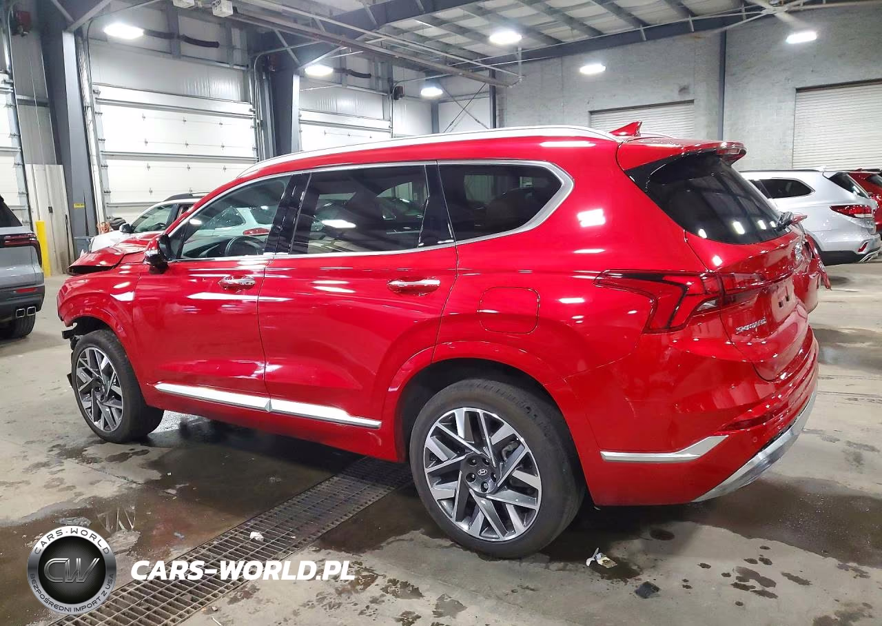 2023 Hyundai Santa Fe Calligraphy VIN:5NMS5DAL4PH586707 - 2