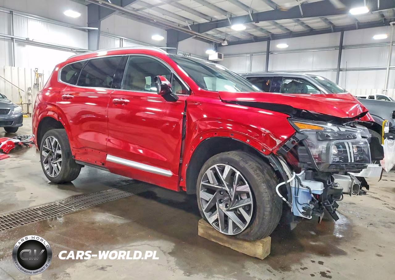 2023 Hyundai Santa Fe Calligraphy VIN:5NMS5DAL4PH586707 - 4
