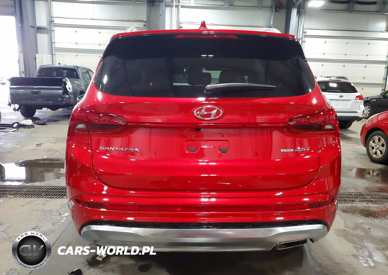 2023 Hyundai Santa Fe Calligraphy VIN:5NMS5DAL4PH586707 - 6