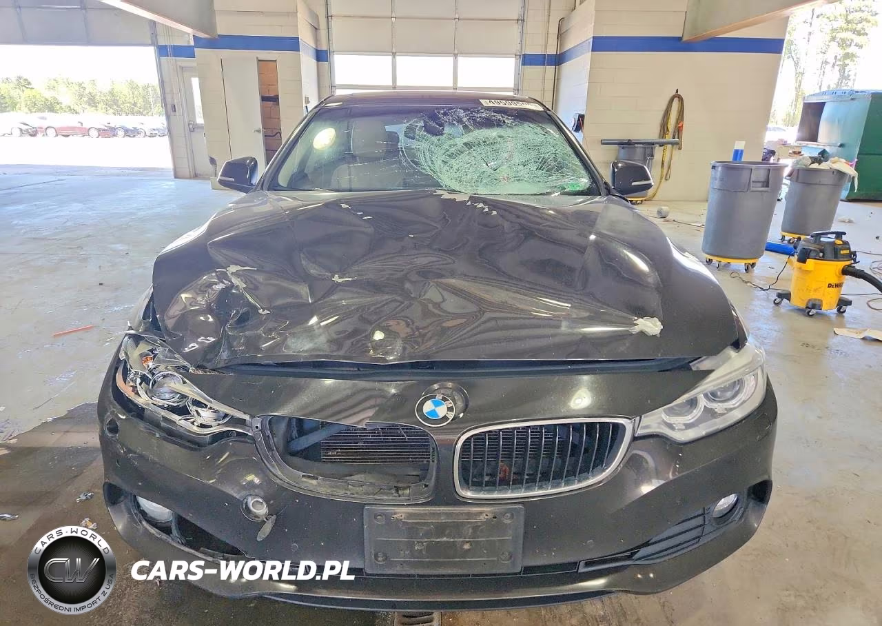 2015 BMW 428 Xi Gran Coupe Sulev VIN:WBA4C9C54FD331425 - 5