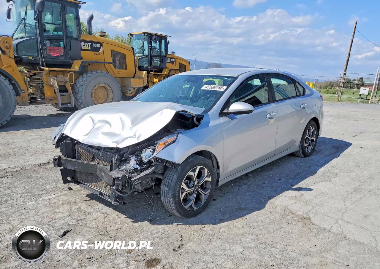 2019 Kia Forte Lxs