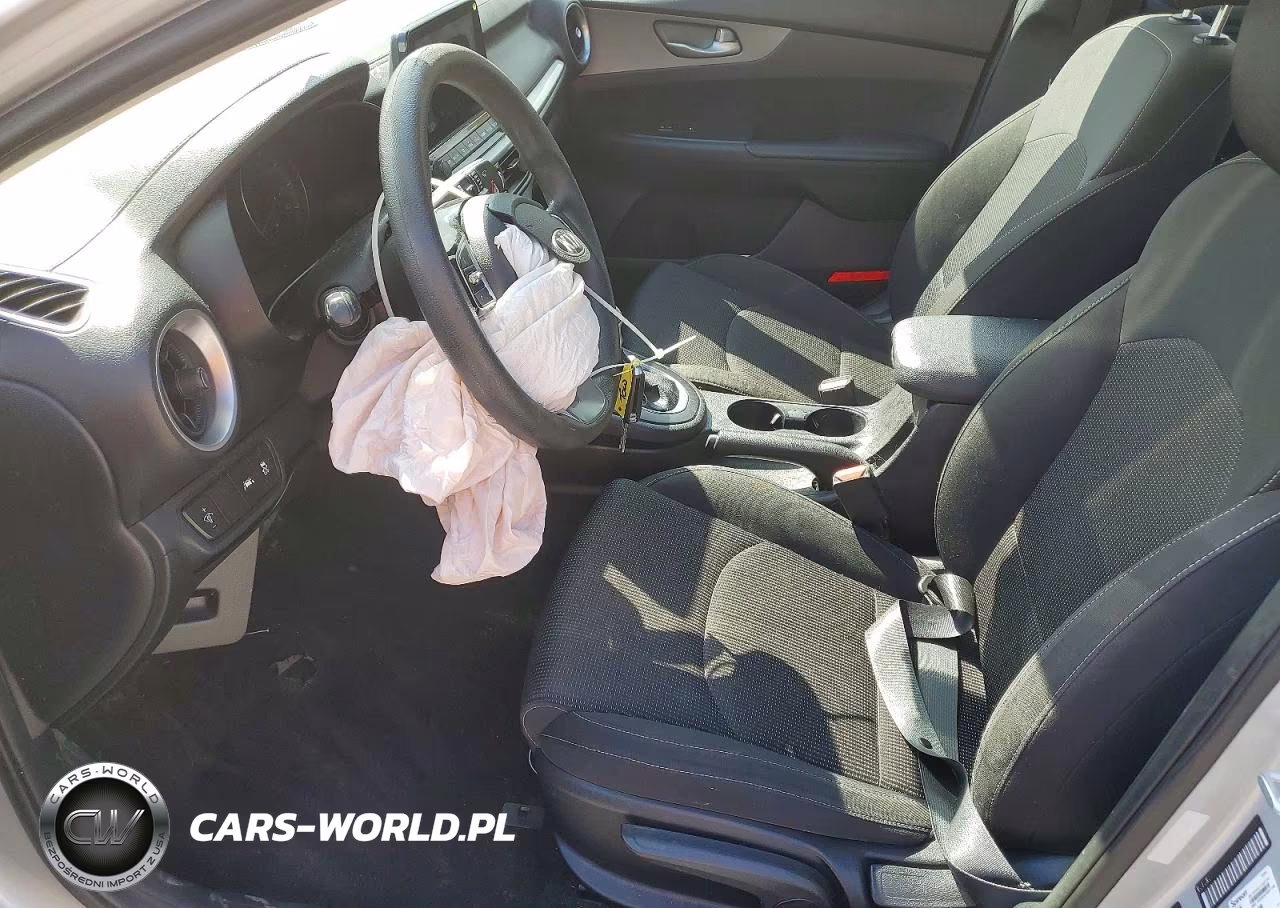 2019 Kia Forte Lxs VIN:3KPF24AD5KE059648 - 7