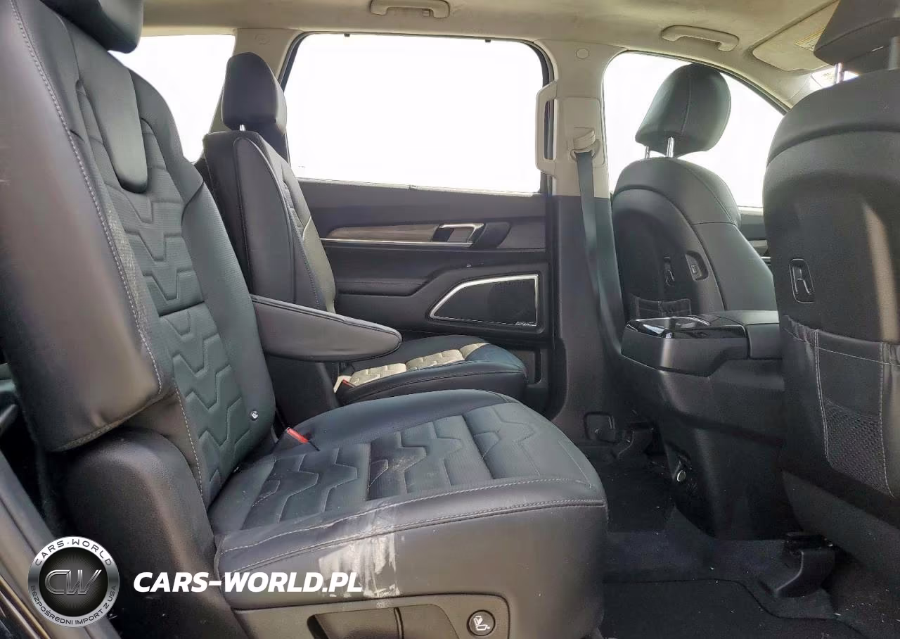 2022 Kia Telluride Sx VIN:5XYP5DHC1NG254310 - 11