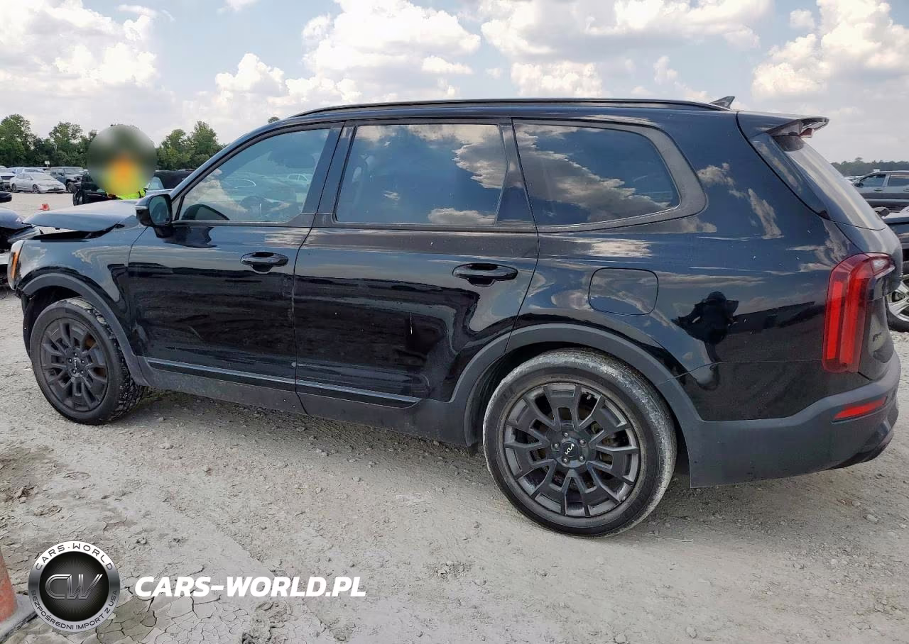 2022 Kia Telluride Sx VIN:5XYP5DHC1NG254310 - 2