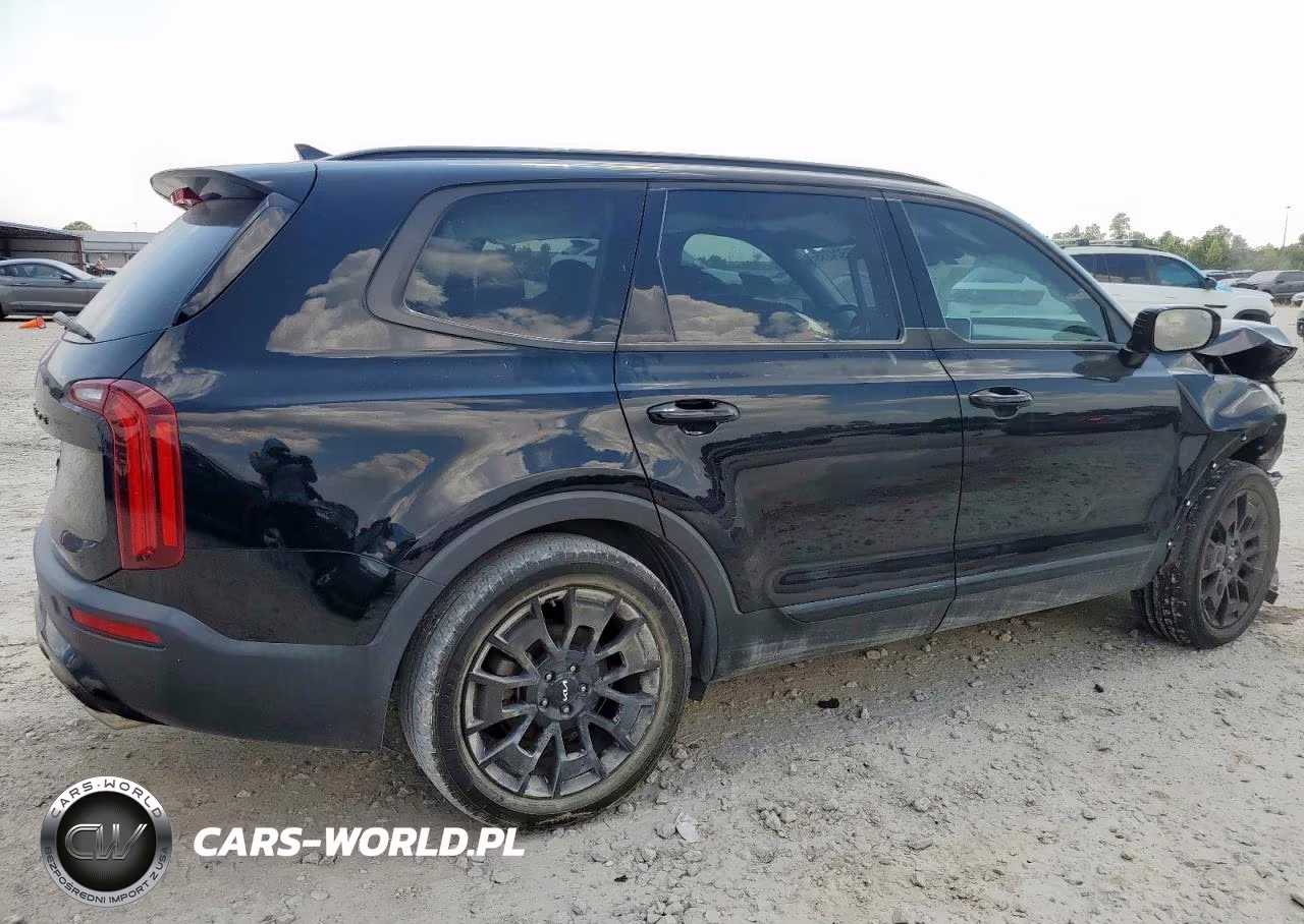 2022 Kia Telluride Sx VIN:5XYP5DHC1NG254310 - 3