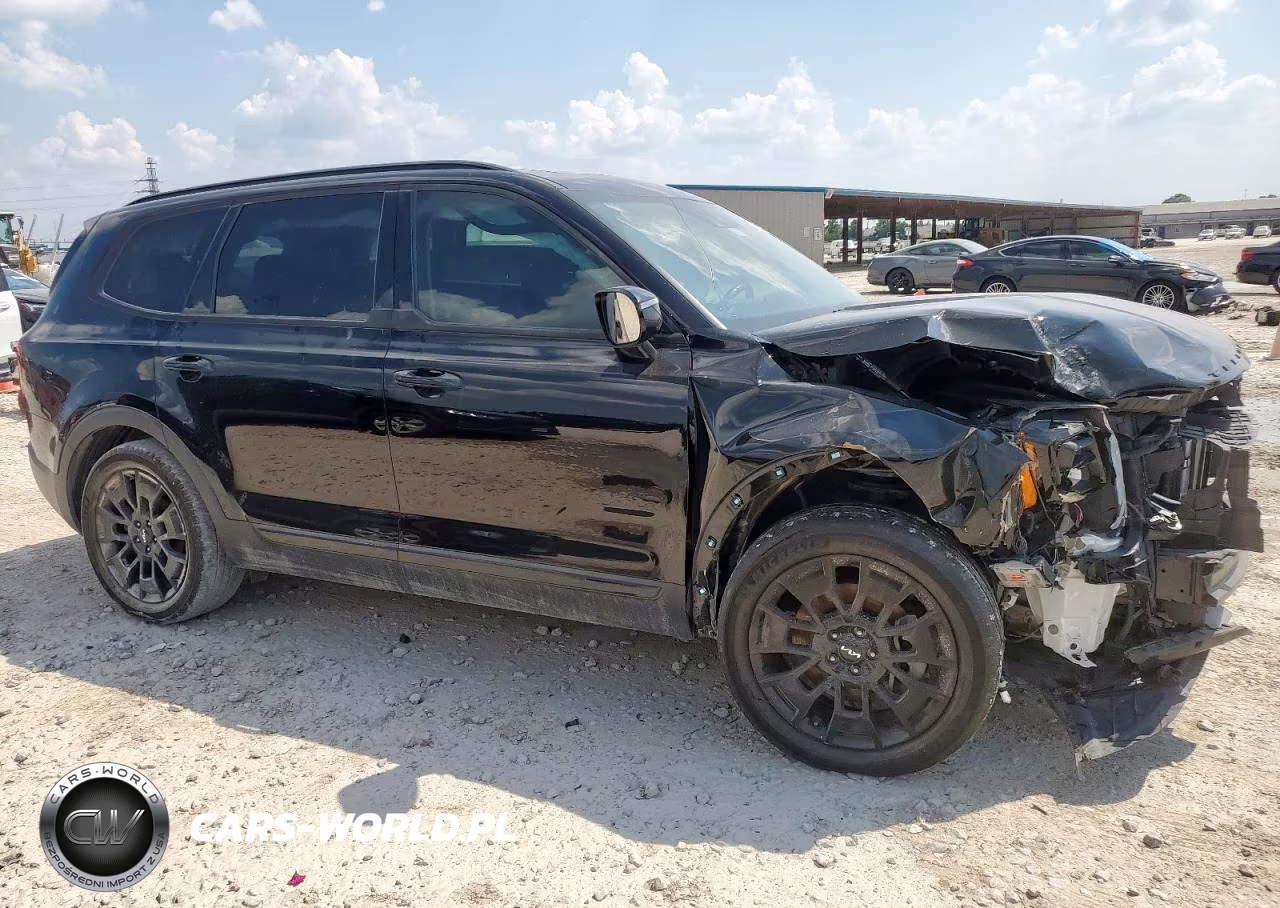 2022 Kia Telluride Sx VIN:5XYP5DHC1NG254310 - 4