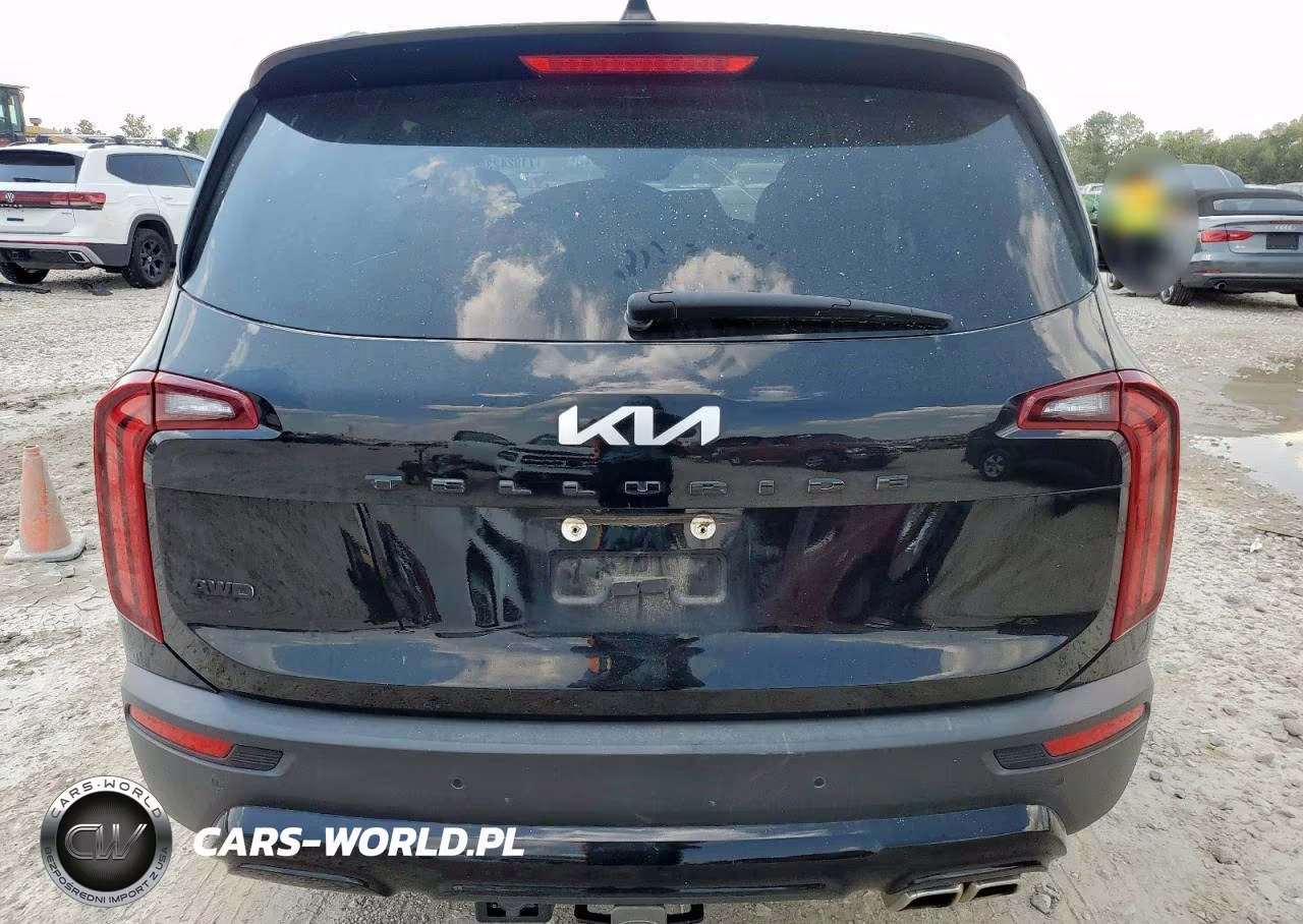 2022 Kia Telluride Sx VIN:5XYP5DHC1NG254310 - 6