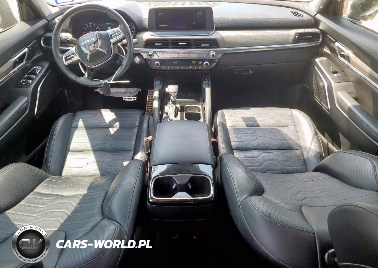2022 Kia Telluride Sx VIN:5XYP5DHC1NG254310 - 8