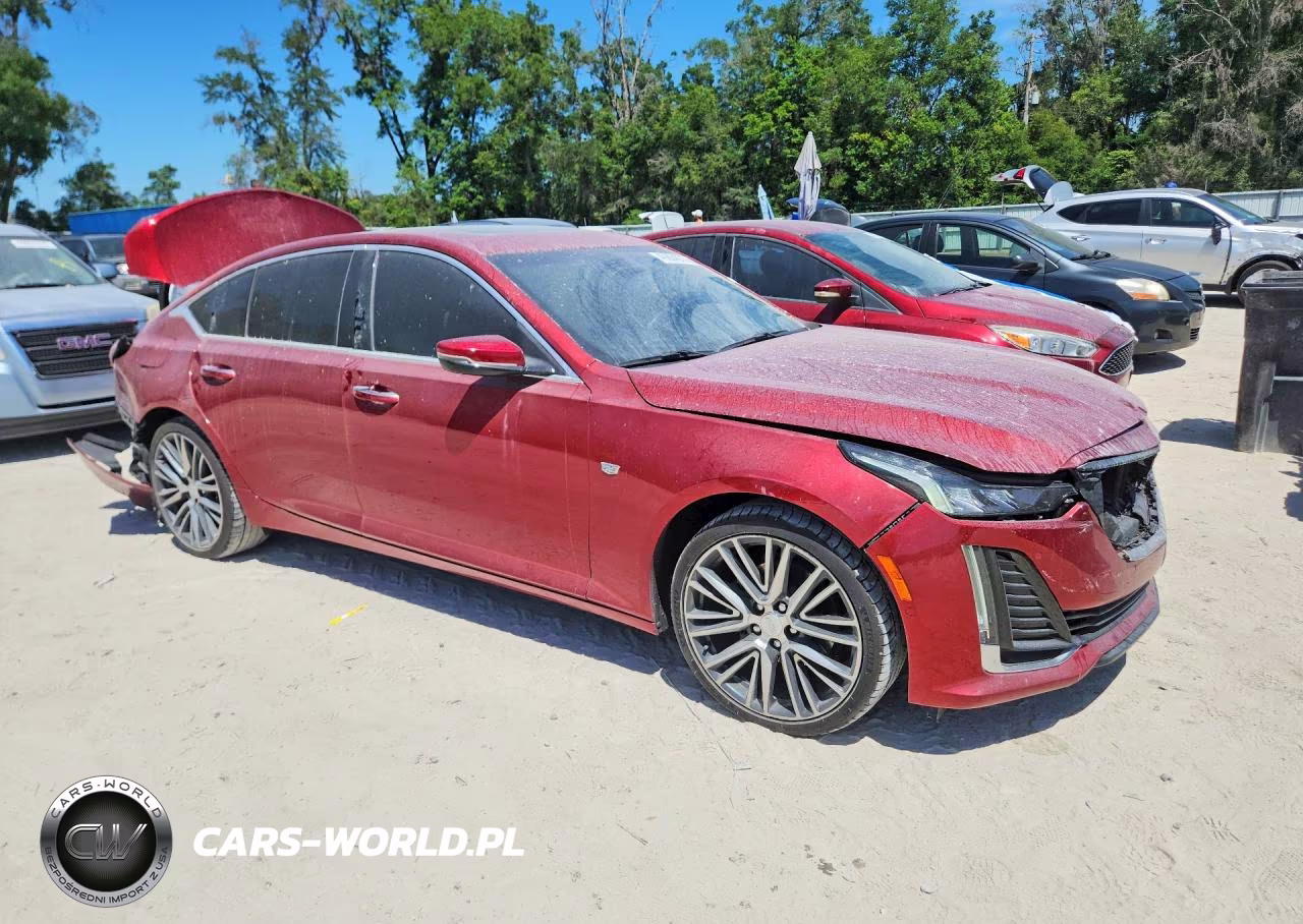 2024 Cadillac Ct5 Premium Luxury VIN:1G6DN5RW9R0108088 - 4