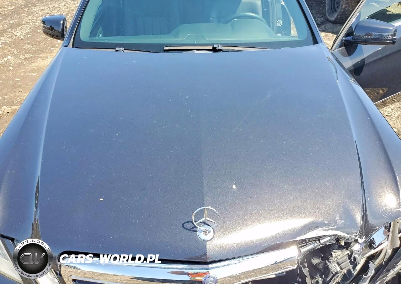 2011 Mercedes-Benz E 350 4Matic VIN:WDDHF8HB4BA389900 - 11