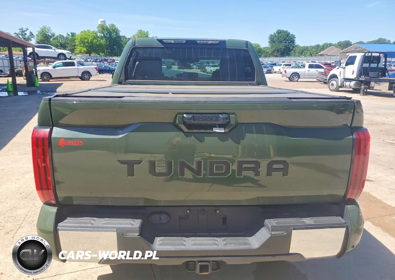2022 Toyota Tundra Sr5 VIN:5TFLA5AB4NX004865 - 6