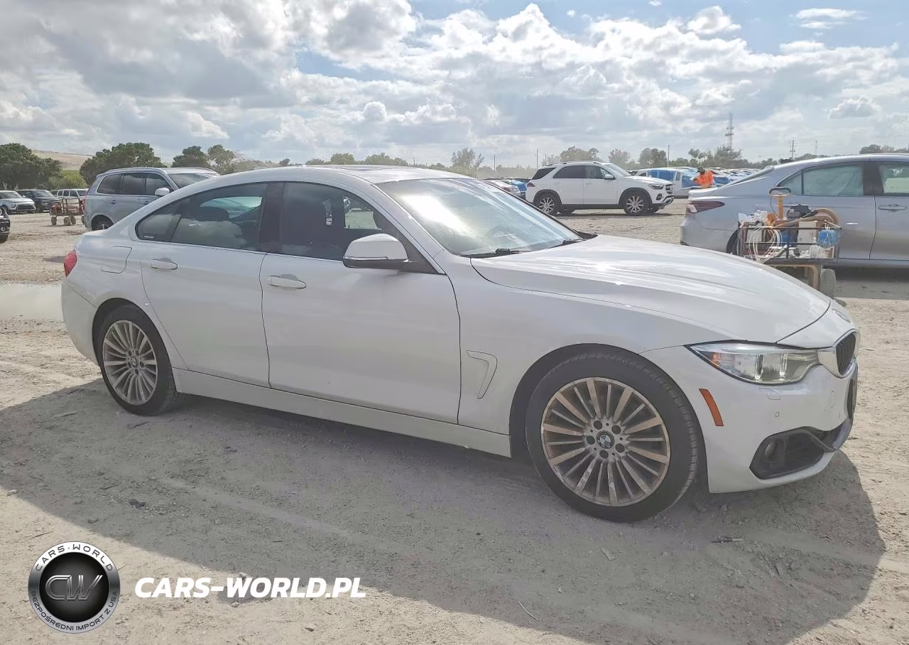 2016 BMW 428 Xi Gran Coupe Sulev VIN:WBA4C9C59GG137151 - 4