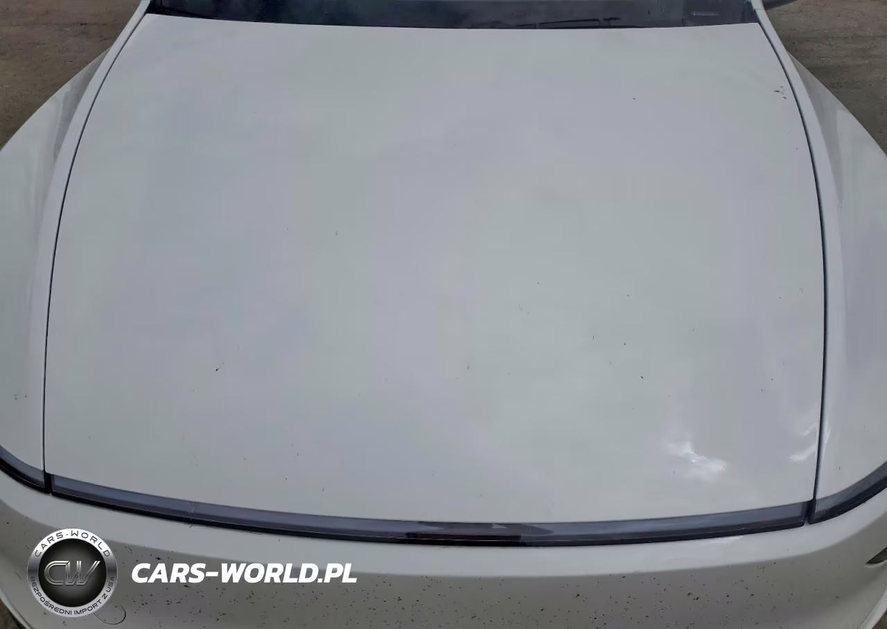 2026 Tesla Model Y VIN:7SAYGDED9TF516464 - 11