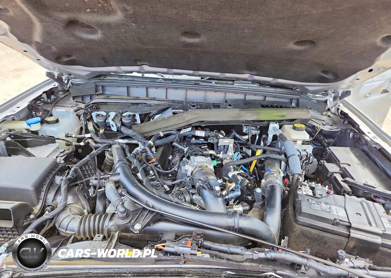 2023 Ford Bronco Base VIN:1FMEE5DP1PLC01454 - 11