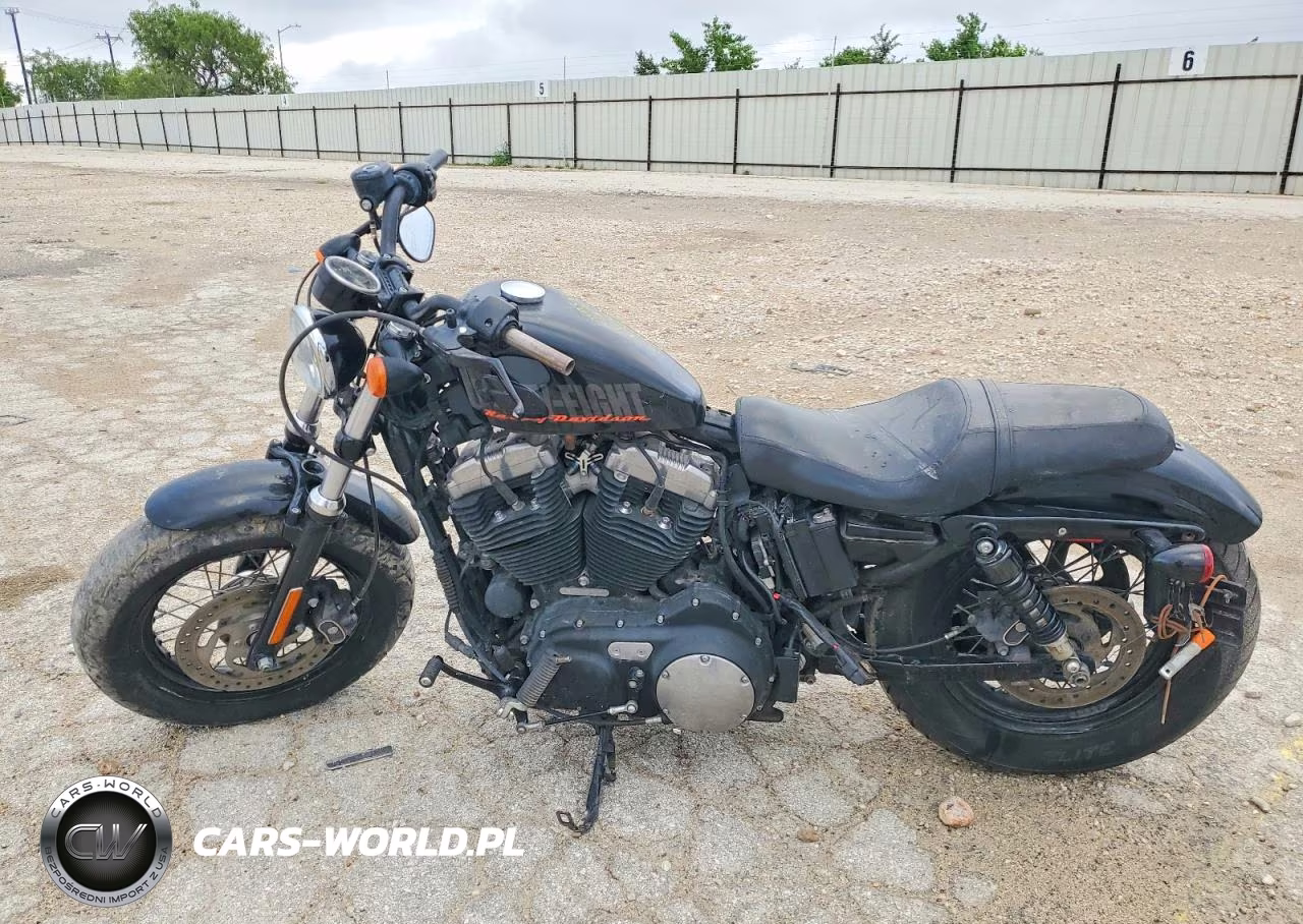 2015 Harley-Davidson Xl1200 Forty-Eight VIN:1HD1LC310FC441473 - 3
