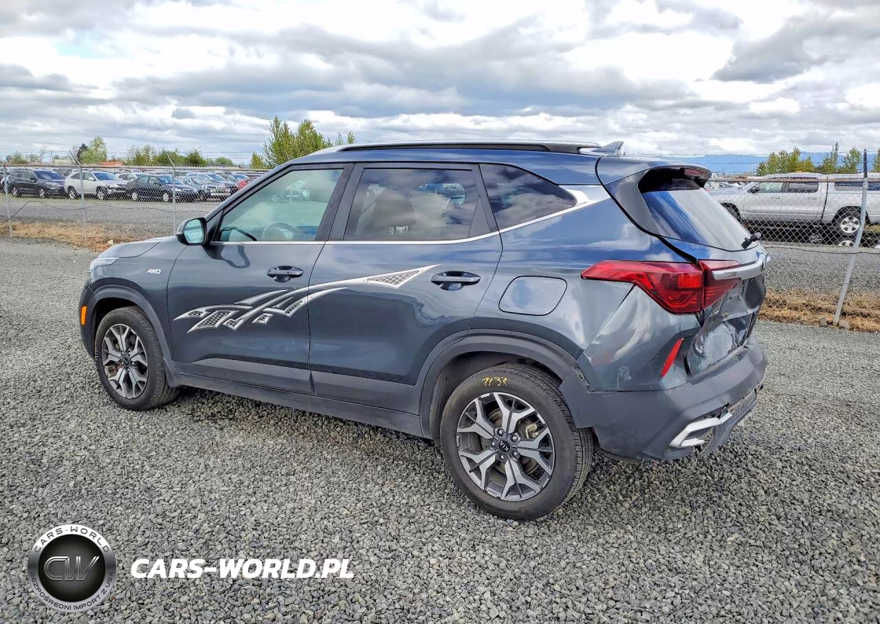 2021 Kia Seltos Ex VIN:KNDERCAAXM7109454 - 2