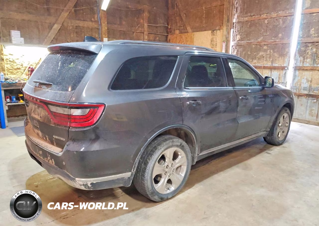 2015 Dodge Durango Limited VIN:1C4RDJDG3FC177366 - 3