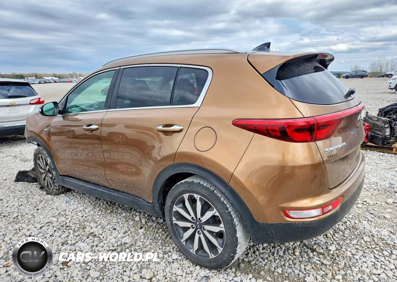 2017 Kia Sportage Ex VIN:KNDPNCAC9H7108534 - 2
