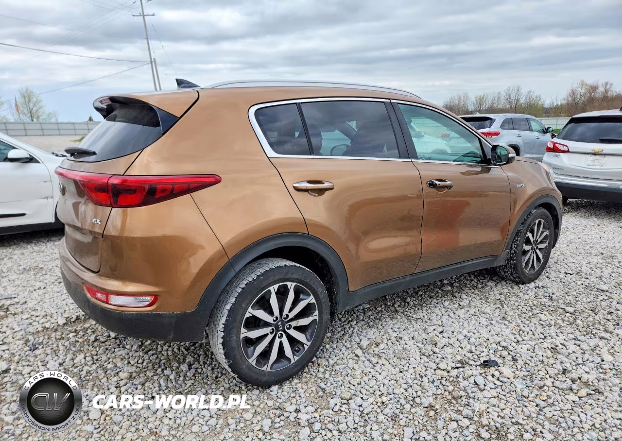2017 Kia Sportage Ex VIN:KNDPNCAC9H7108534 - 3