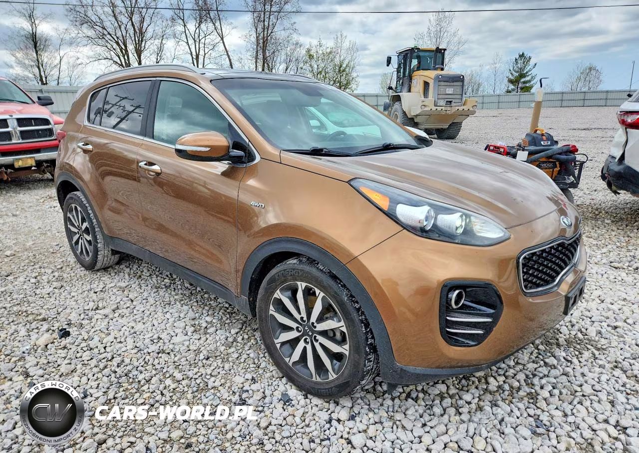 2017 Kia Sportage Ex VIN:KNDPNCAC9H7108534 - 4