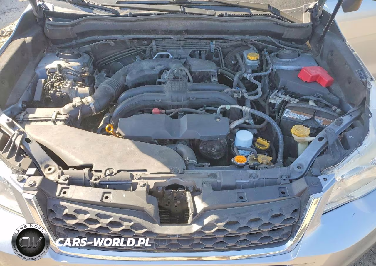 2016 Subaru Forester 2.5I Touring VIN:JF2SJAXC9GH536938 - 12