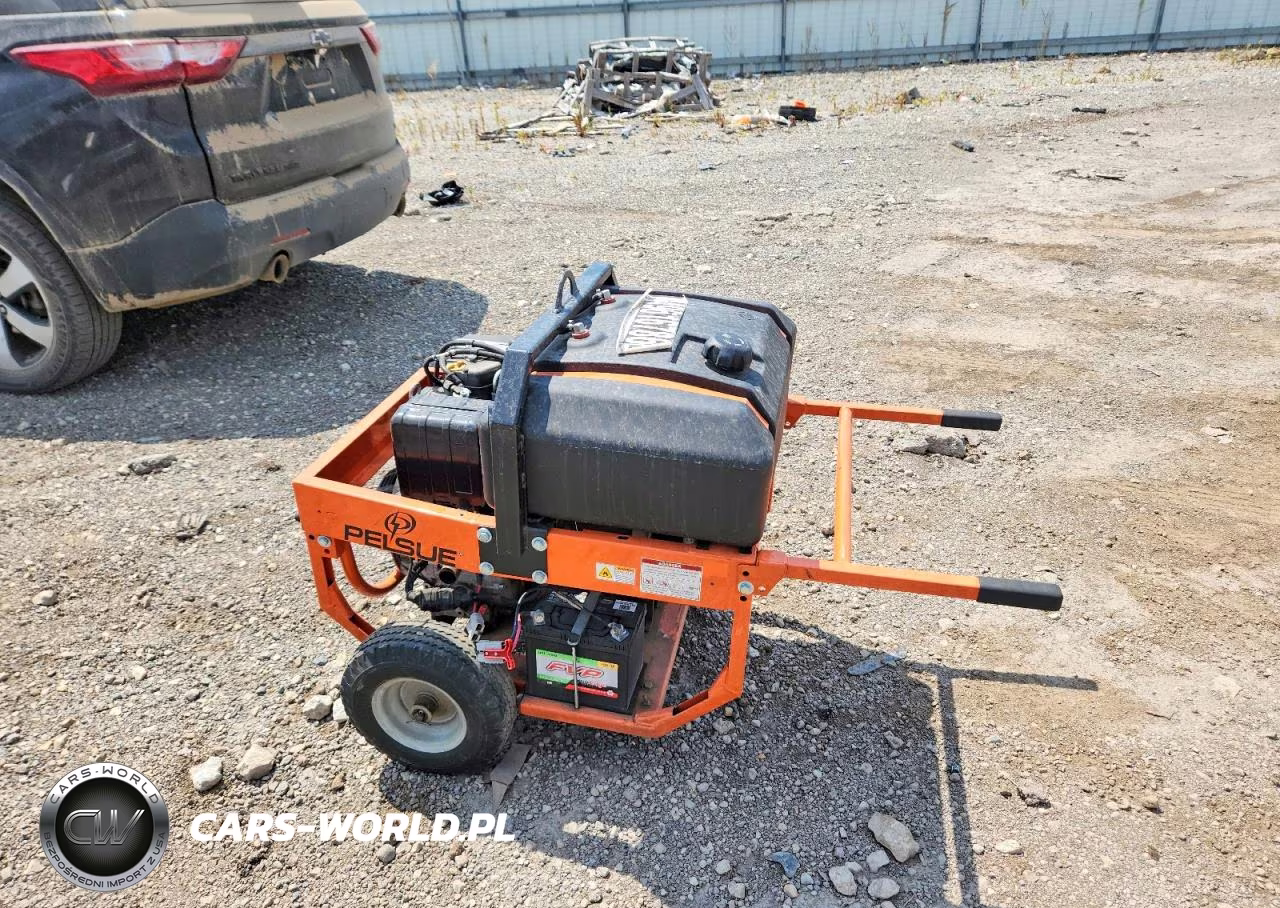 2013 Pelsue Pg55D Generator