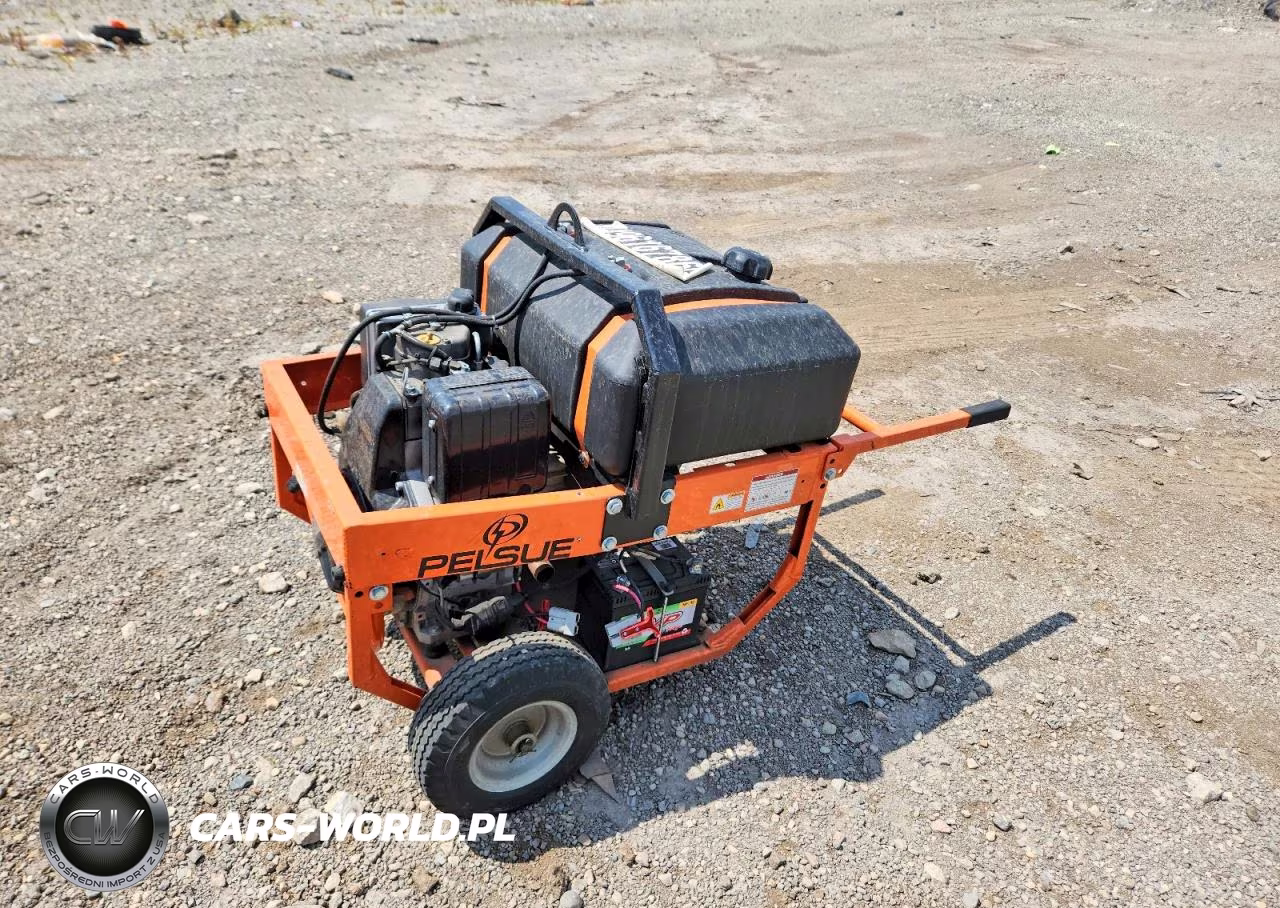 2013 Pelsue Pg55D Generator VIN:49616786 - 4