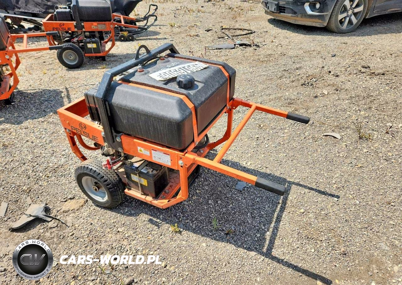 2013 Pelsue Pg55D Generator