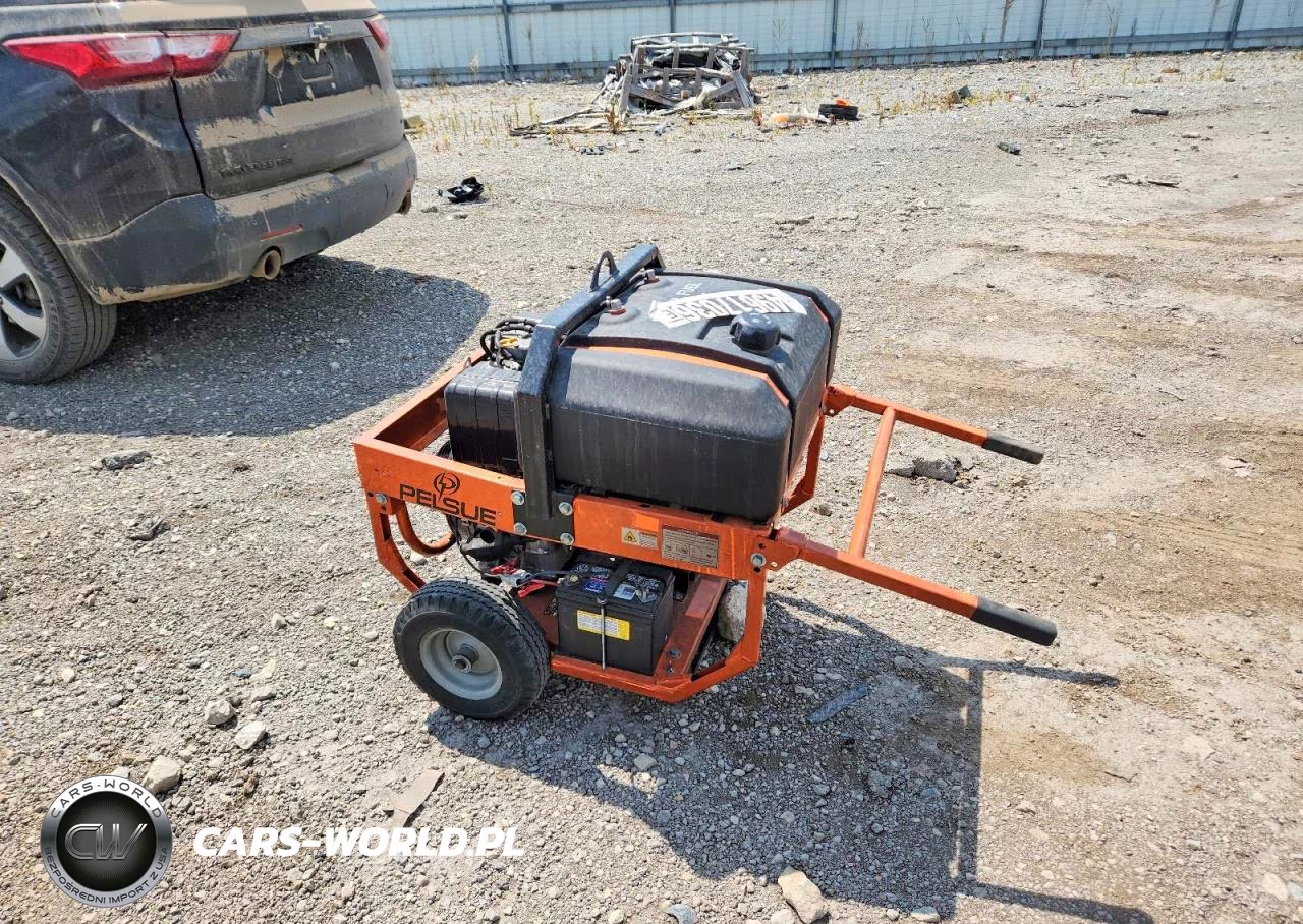 2013 Pelsue Pg55D Generator