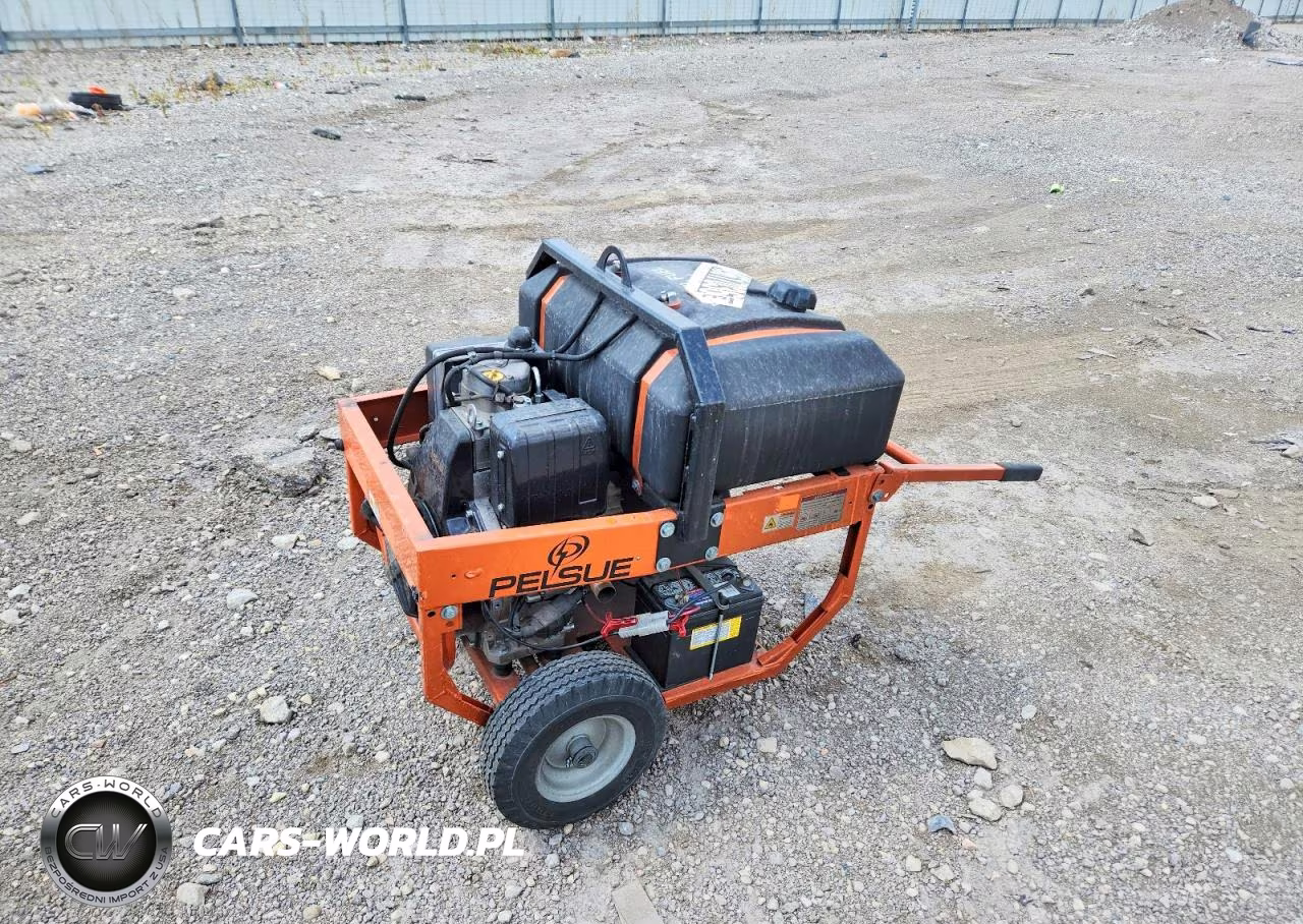 2013 Pelsue Pg55D Generator VIN:49617036 - 4