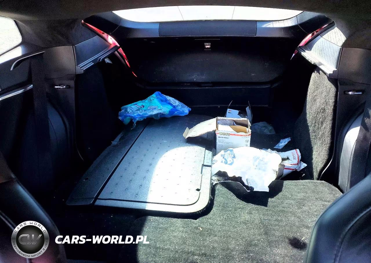 2016 Tesla Model S VIN:5YJSA1E12GF174838 - 10