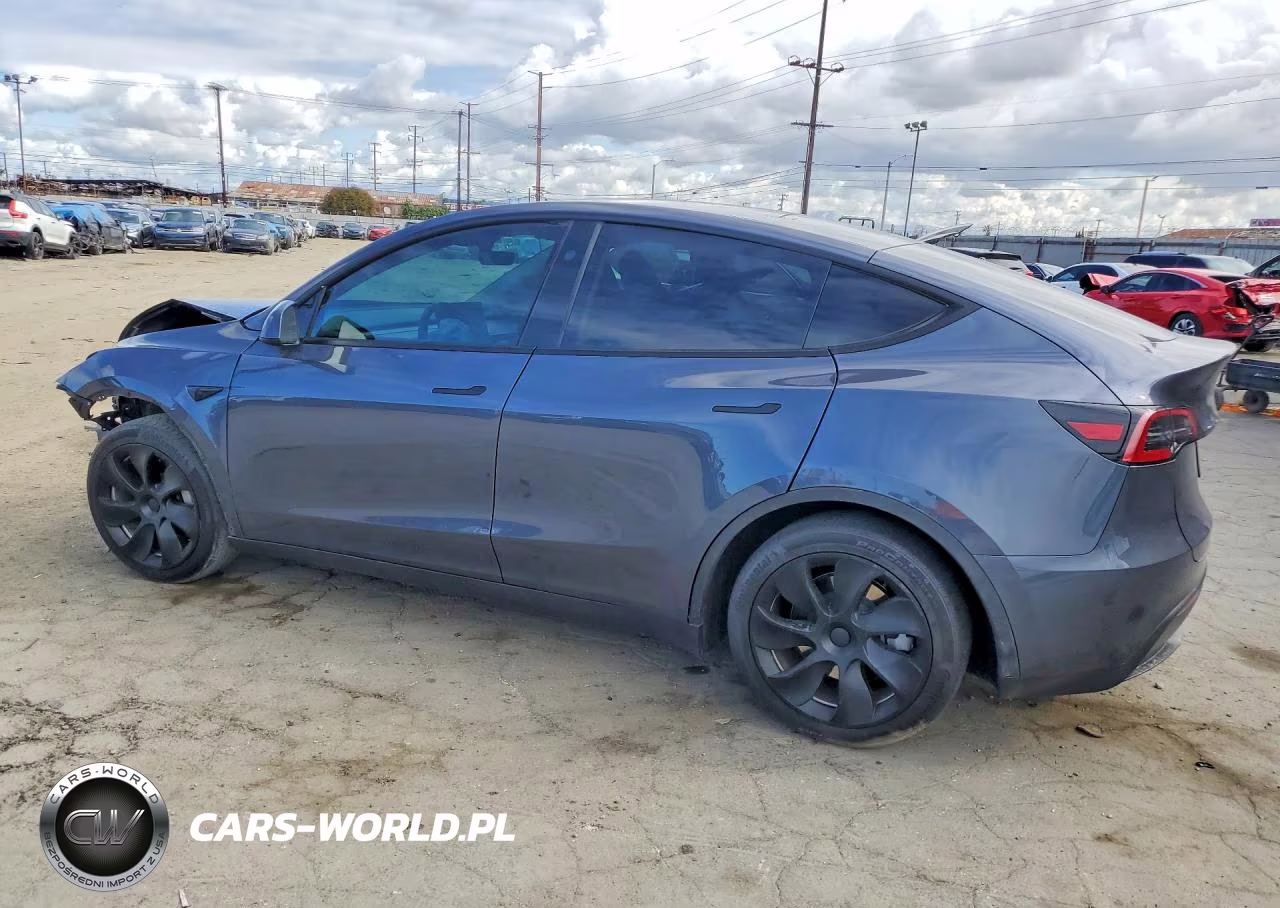 2023 Tesla Model Y VIN:7SAYGDEE5PF945924 - 2