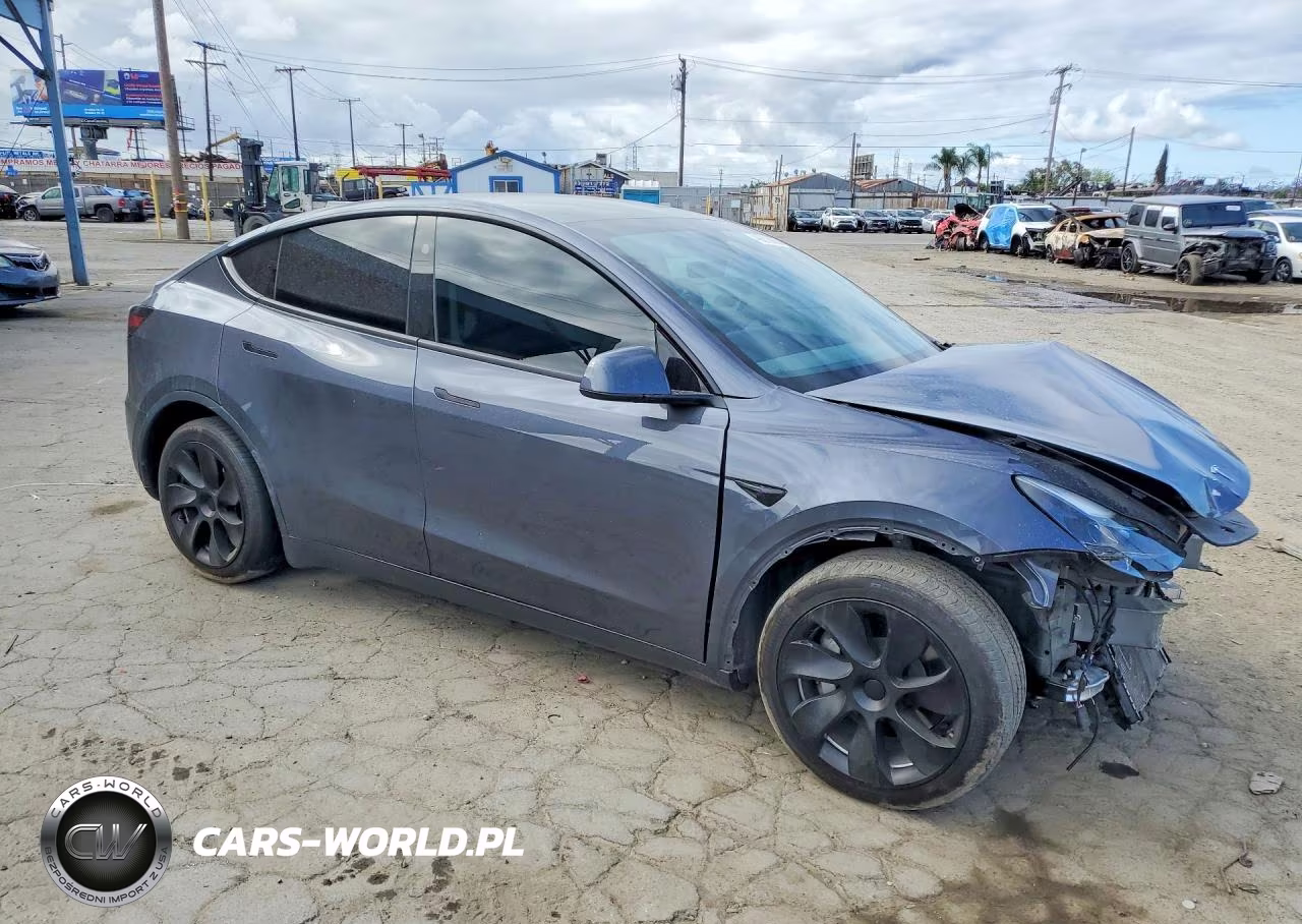 2023 Tesla Model Y VIN:7SAYGDEE5PF945924 - 4