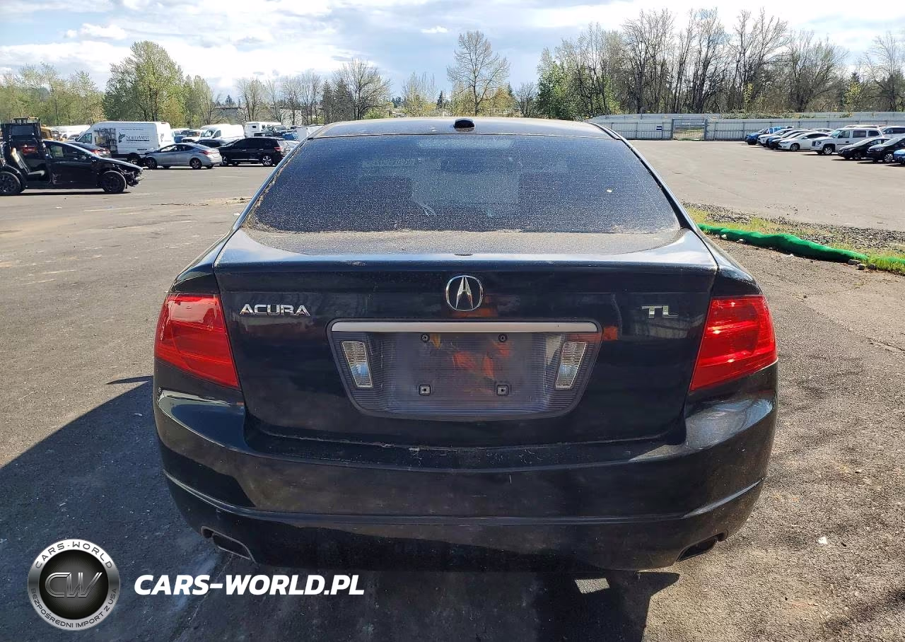 2006 Acura 3.2Tl VIN:19UUA66276A051297 - 6