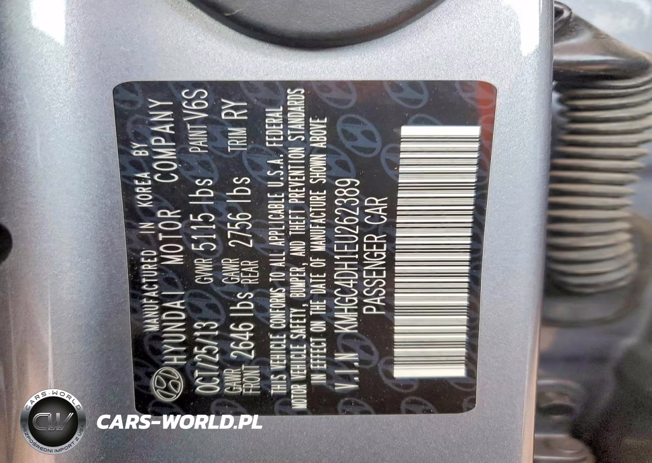 2014 Hyundai Genesis 5.0L VIN:KMHGC4DH1EU262389 - 13