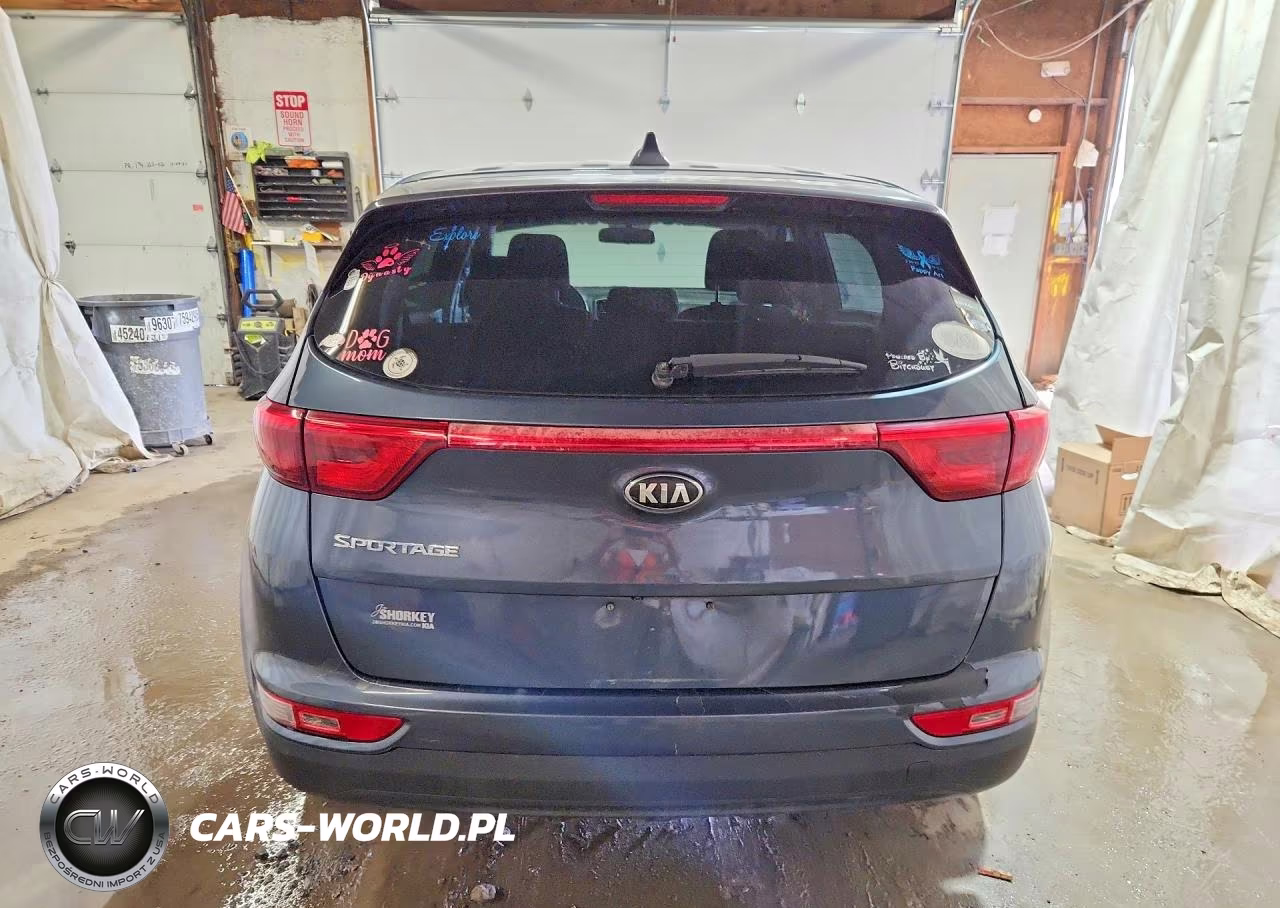 2019 Kia Sportage Lx VIN:KNDPMCAC5K7598836 - 6